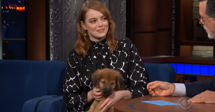 The Late Show With Stephen Colbert
