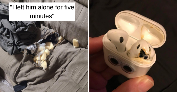 Reddit