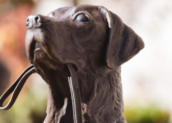 Facebook | America's VetDogs