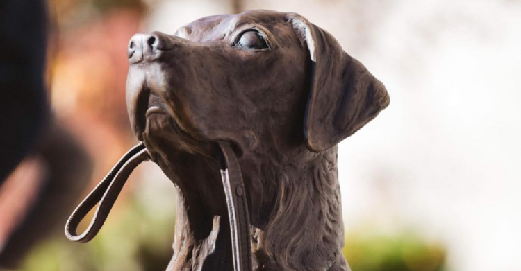 Facebook | America's VetDogs