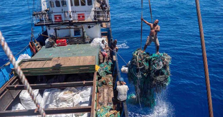 Facebook | Ocean Voyage Institute / Project Kaisei