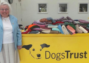 Instagram | @dogstrust