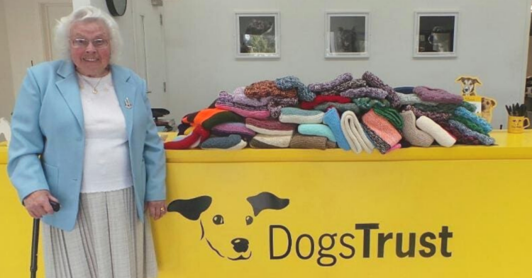 Instagram | @dogstrust