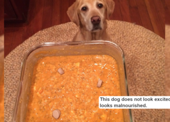 sfveganyogi / Tumblr