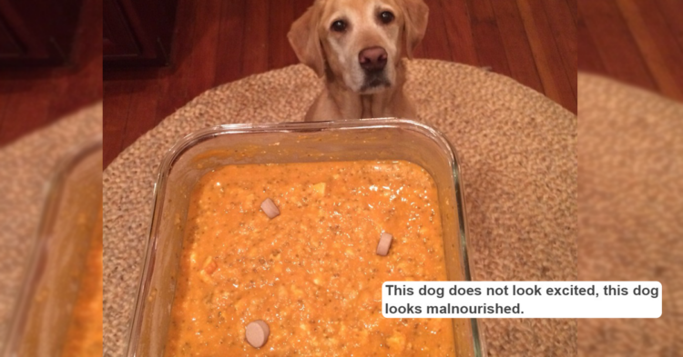 sfveganyogi / Tumblr