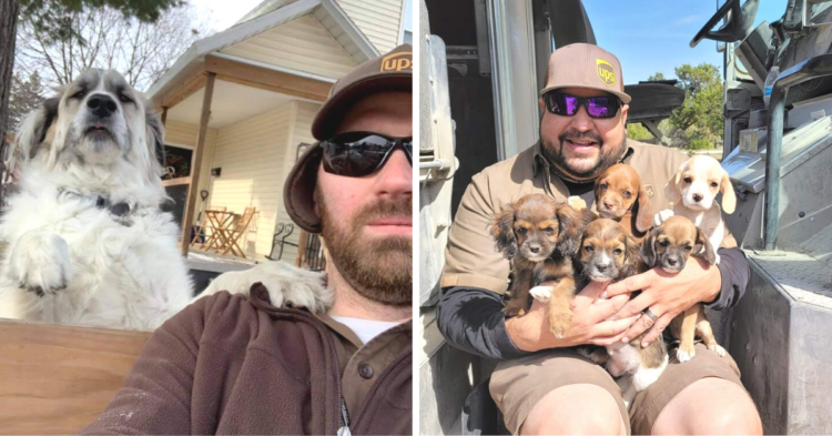 Facebook | UPS Dogs