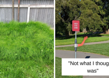 Reddit