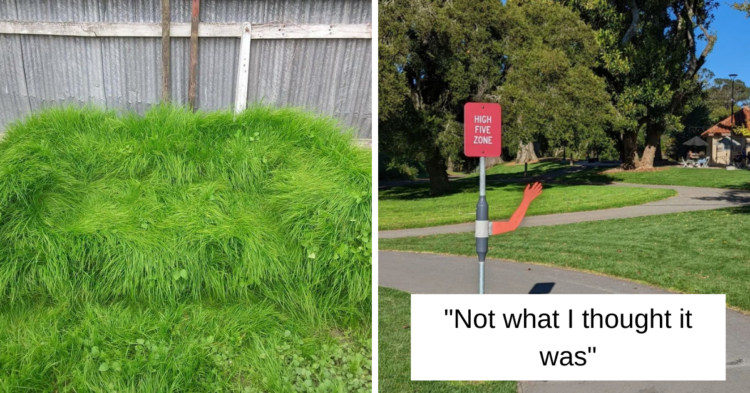 Reddit