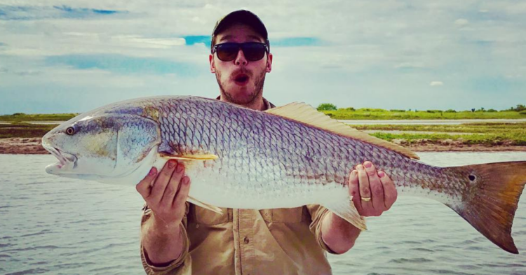 Instagram | @prattprattpratt