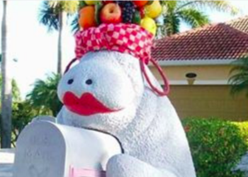 Manatee Mailbox