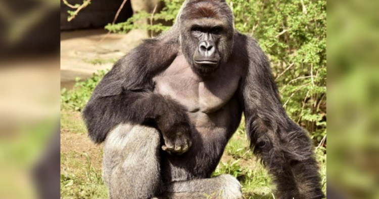 Cincinnati Zoo