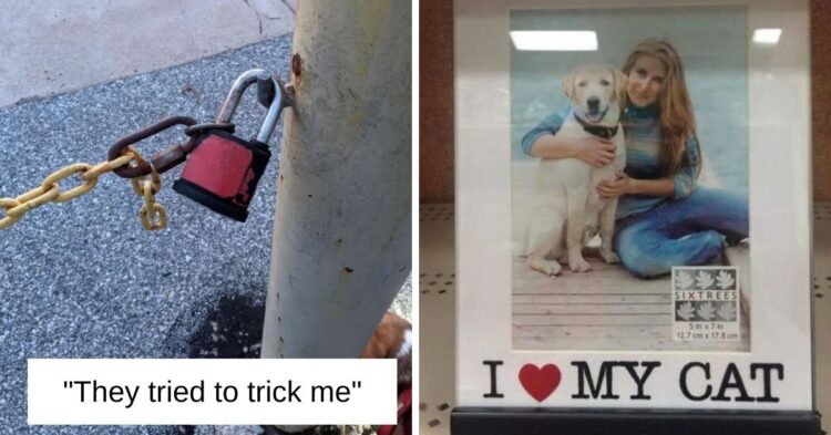 Reddit
