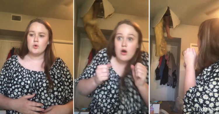 TikTok | @lizjsm_