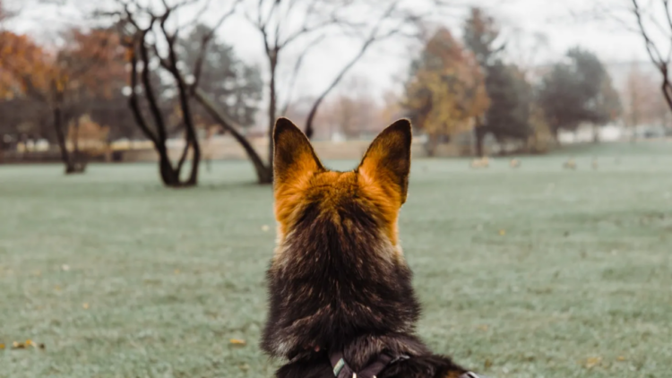 Unsplash