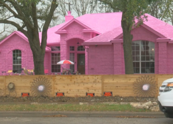 Emilio Rodriguez's pink house