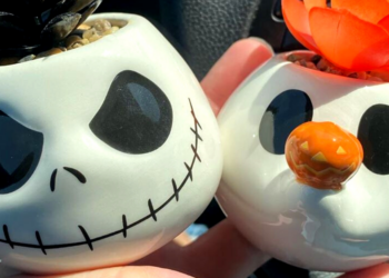 Instagram | @spooky_halloween_finds