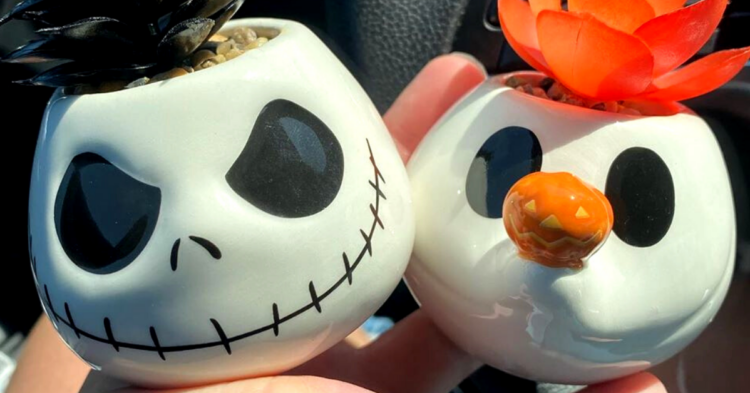 Instagram | @spooky_halloween_finds