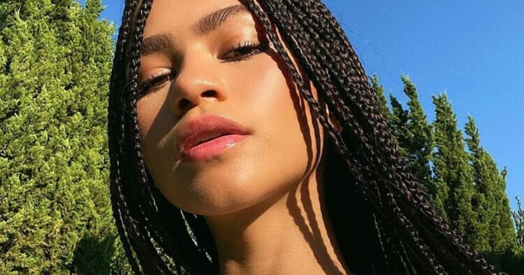 Instagram | @zendaya