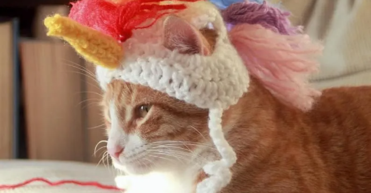 Etsy | PawsomeCrochet