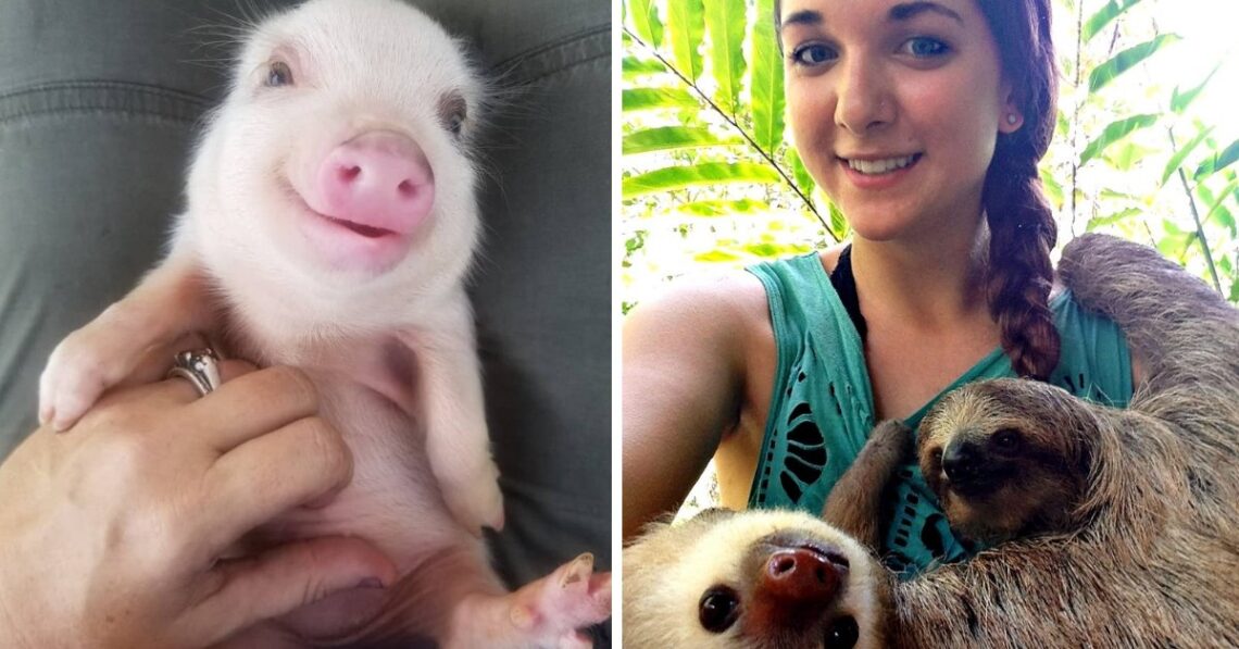Instagram | @petiteporkers - Reddit