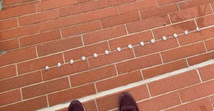 Reddit | u/clockbird