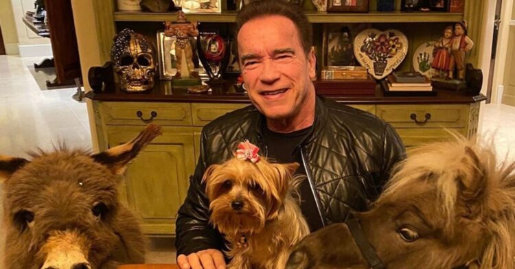 Instagram | @schwarzenegger