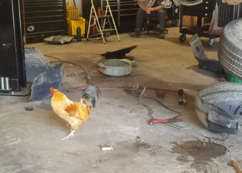 Facebook | RandR Garage