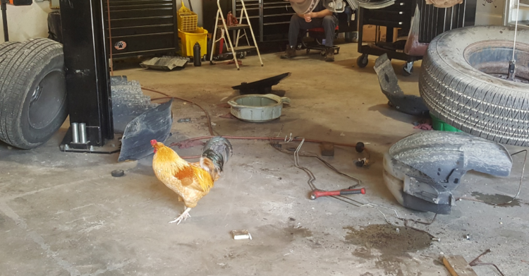 Facebook | RandR Garage