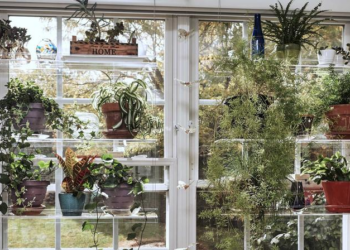 IndoorWindowGardens | Etsy