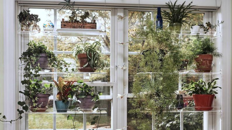 IndoorWindowGardens | Etsy