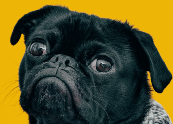 Unsplash | Charles Deluvio