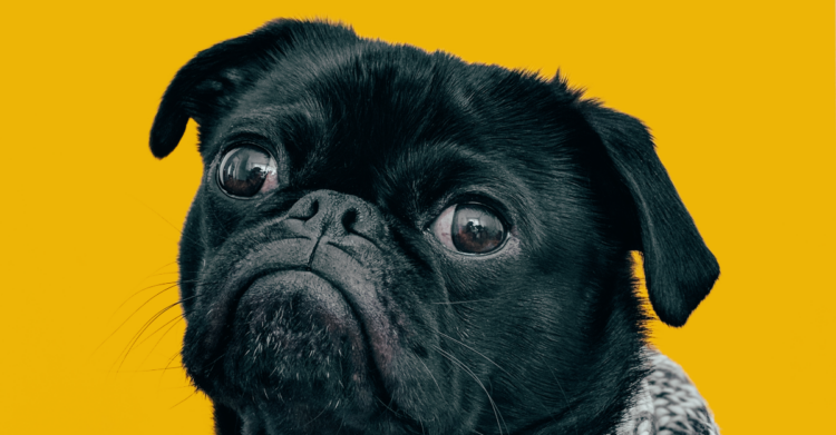 Unsplash | Charles Deluvio