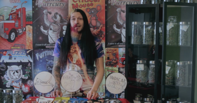 Kickstarter | Mikey Fivebucks