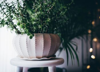 Unsplash | Jordan Whitt