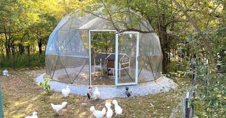 Etsy | SunriseDomes