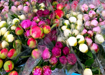 Instagram | @traderjoes_flowers