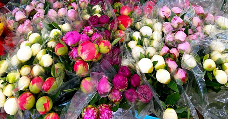 Instagram | @traderjoes_flowers