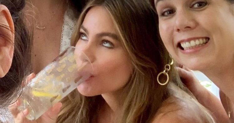 Instagram | @sofiavergara