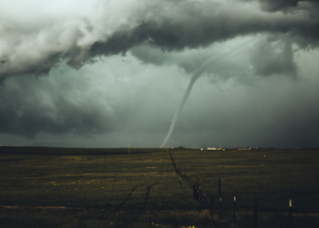 Unsplash | Nikolas Noonan