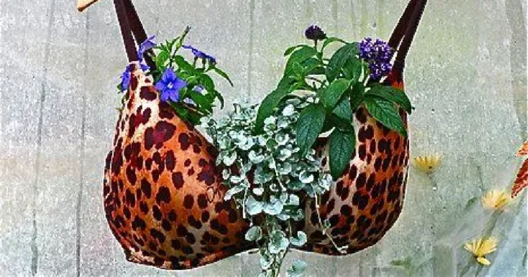 Facebook | Container Gardening Alliance