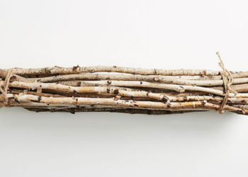 Anthropologie