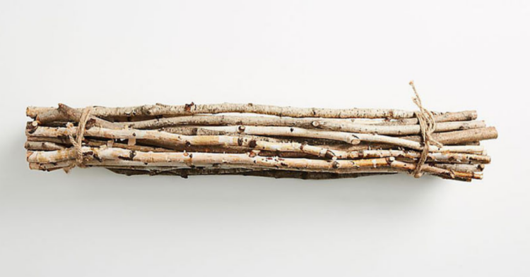 Anthropologie