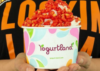 Instagram | @yogurtlandinc