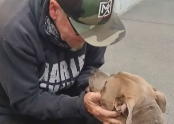 Facebook | Washington County