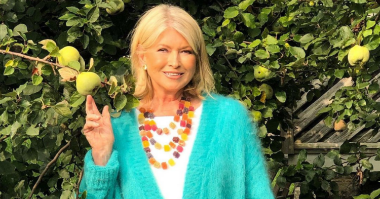 Instagram | @marthastewart48