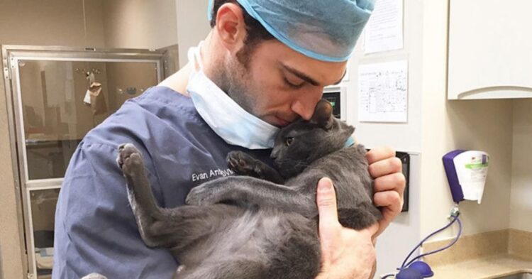 Evan Antin