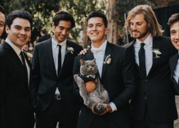 Facebook | Aaron's Animals