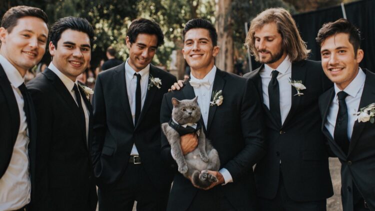 Facebook | Aaron's Animals
