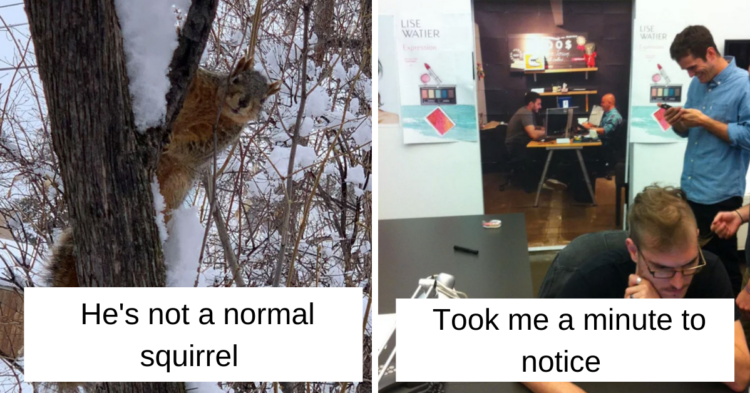 Reddit