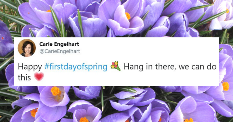 Canva / Twitter | @CarieEngelhart